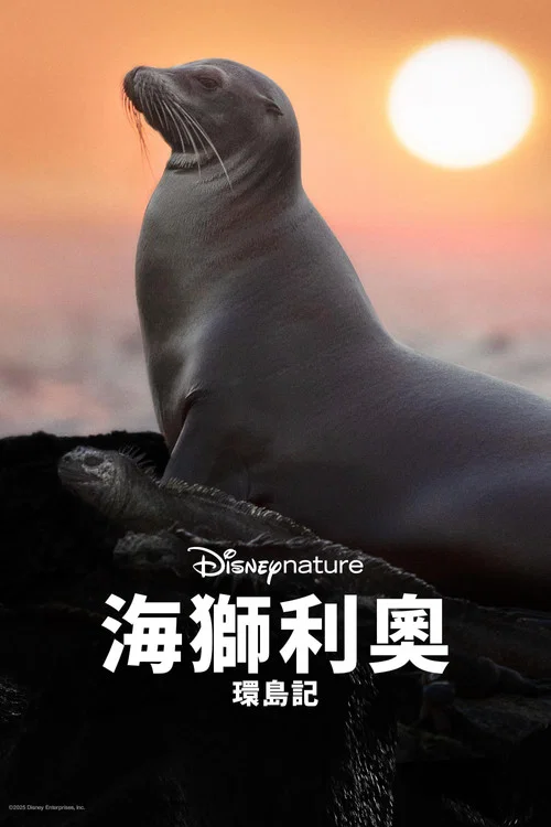 海狮利奥环岛记(2025)海报