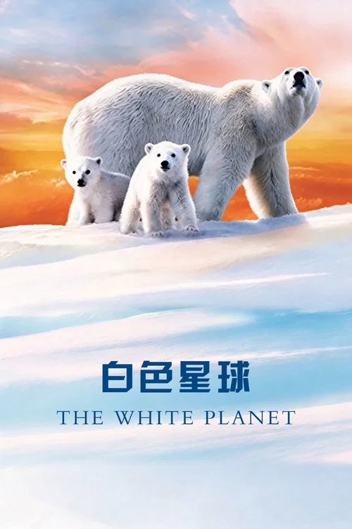 白色星球(2006)海報