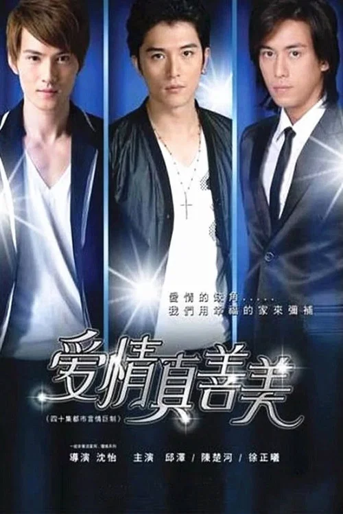 爱情真善美(2011)海报