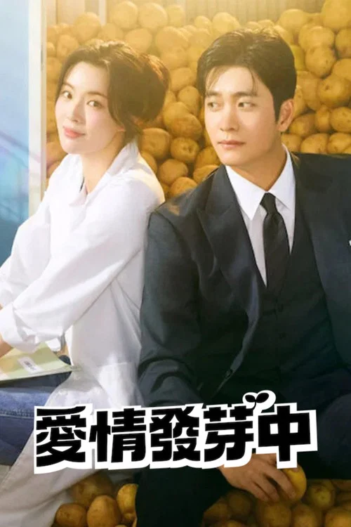 爱情发芽中(2025)海报