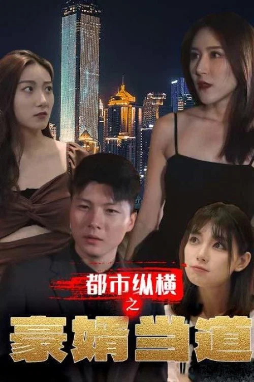 都市縱橫之豪婿當道(2023)海報