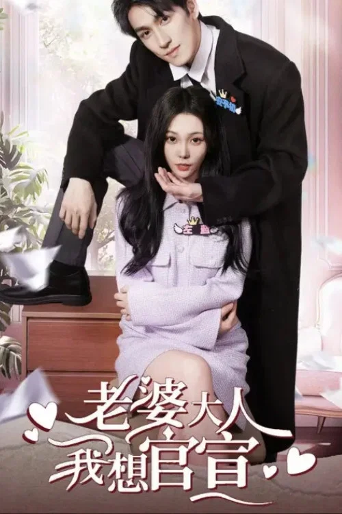 老婆大人我想官宣(2025)海報