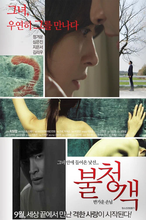 不速之客 – 请进客人(2016)海报
