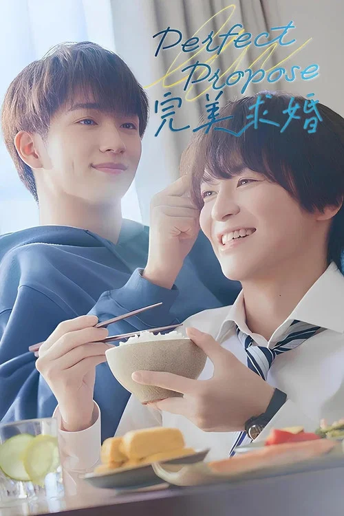 完美求婚(2024)海报