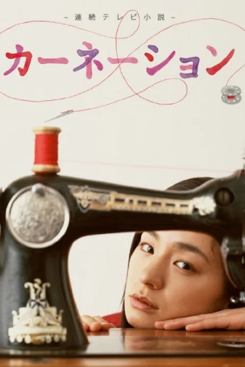 康乃馨(2011)海報