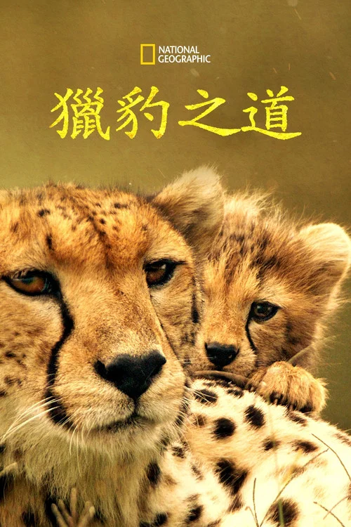 猎豹之道(2022)海报