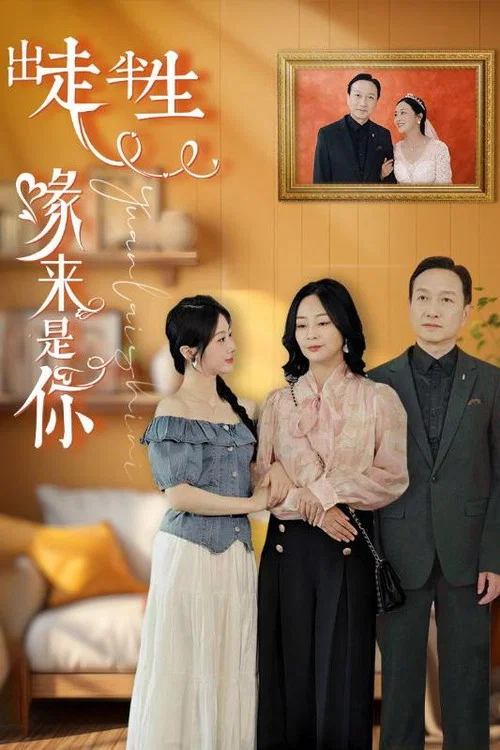 出走半生缘来是你(2024)海报