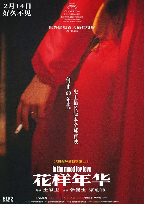 花樣年華劇照9