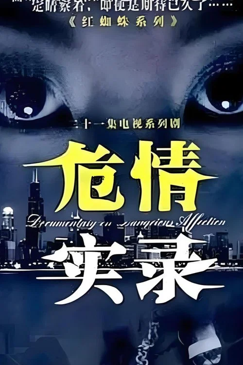 危情实录(2003)海报