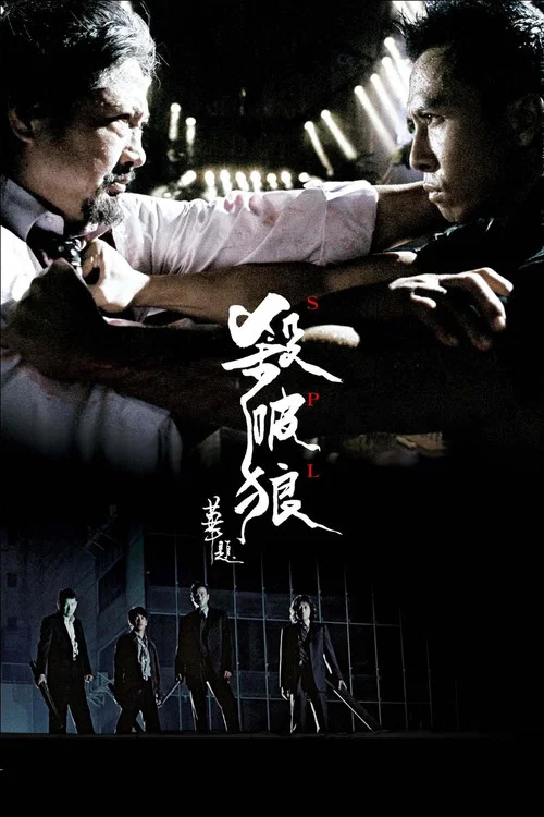 殺破狼 粵語版(2005)海報