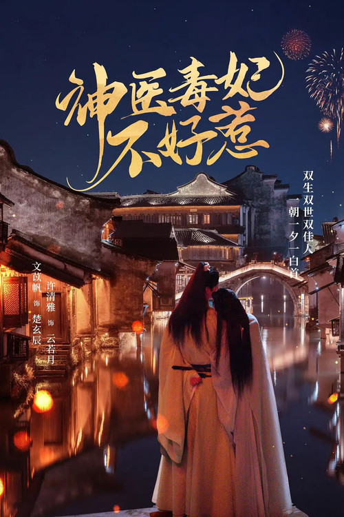 我的醫妃不好惹劇照2