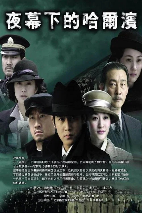 夜幕下的哈尔滨剧照3
