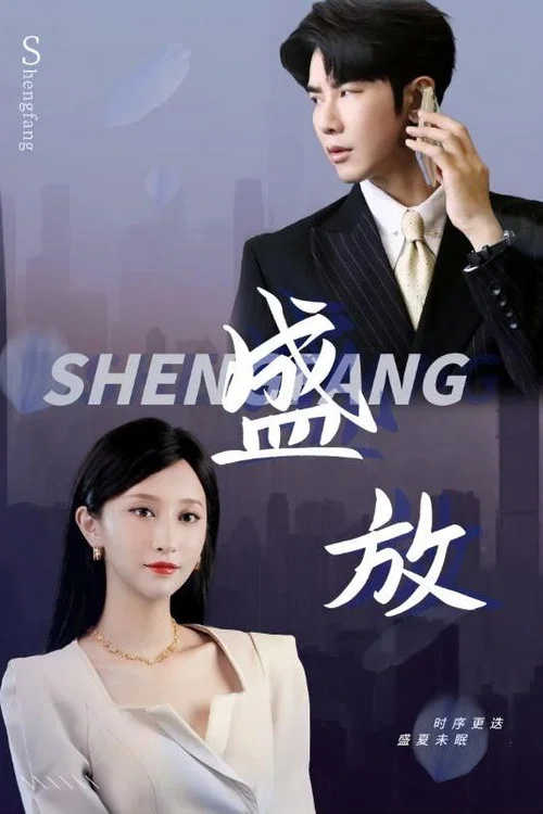 盛放(2024)海報