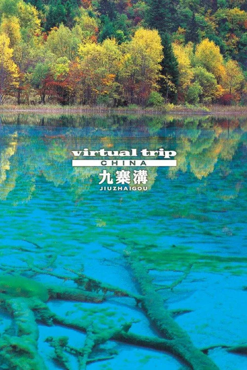 實境之旅九寨溝(2006)海報