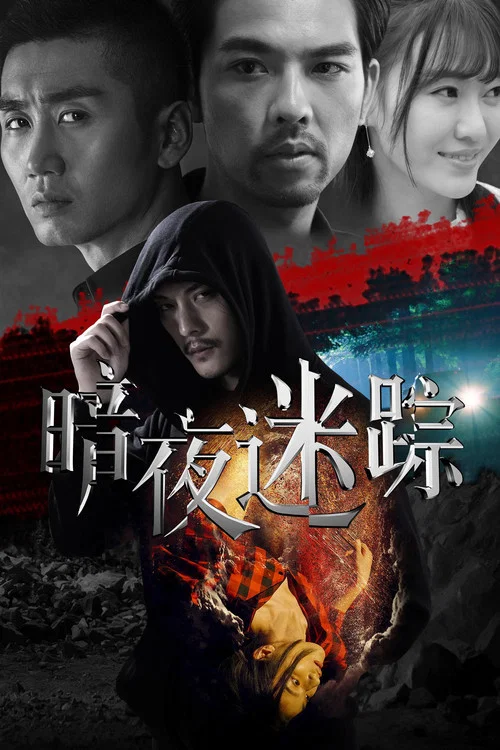 暗夜迷蹤(2020)海報
