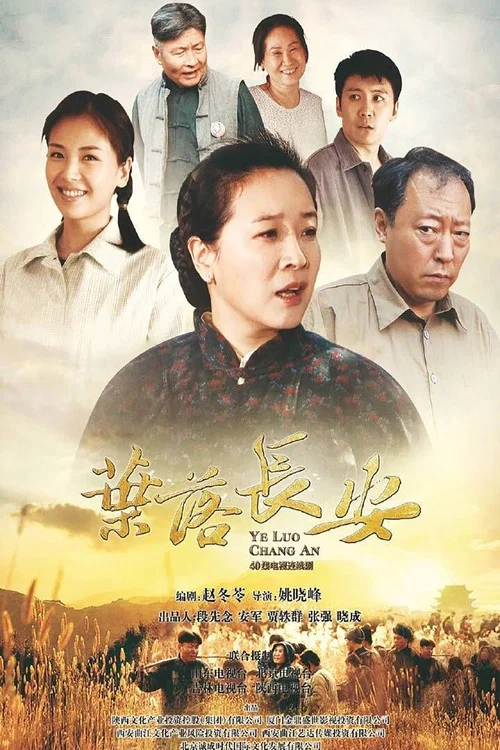 葉落長安(2011)海報