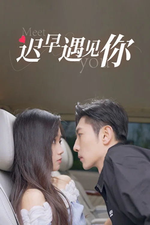 迟早遇见你(2024)海报