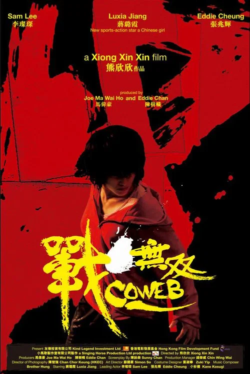 戰·無雙(2009)海報