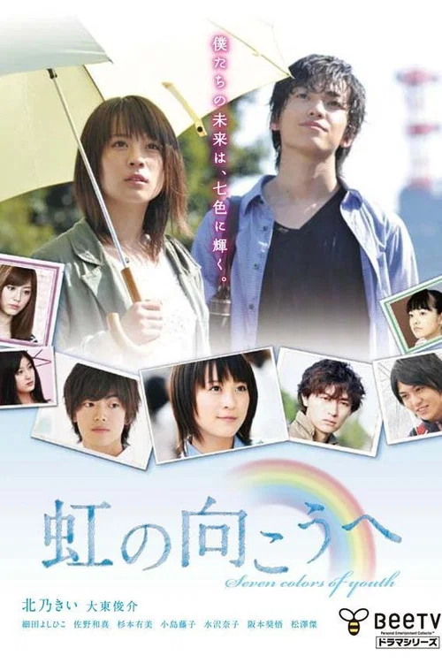 彩虹的对面(2010)海报