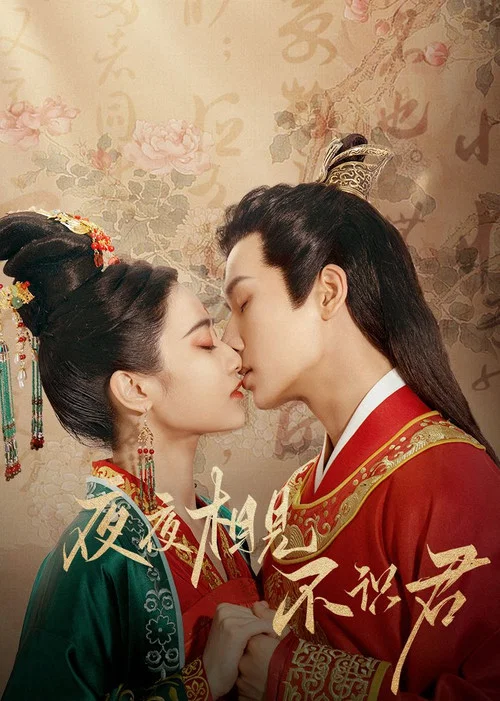 夜夜相见不识君(2023)海报