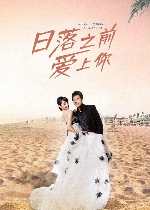 日落之前愛上你(2009)海報