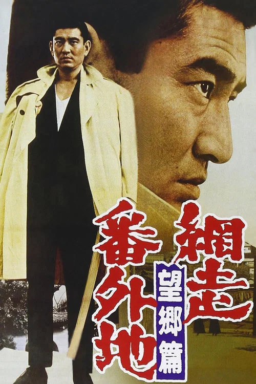 網走番外地:望鄉篇(1965)海報