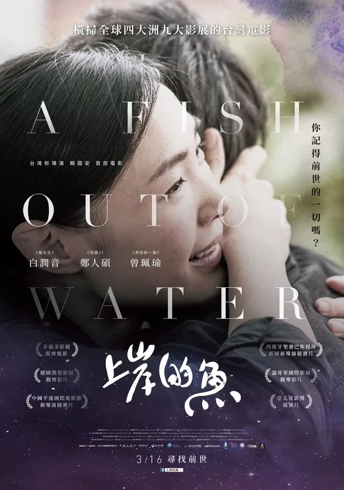 上岸的鱼(2018)海报