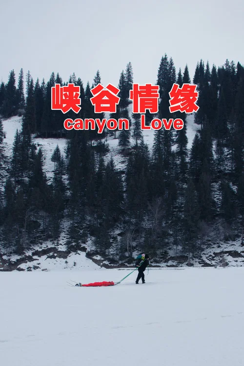 峡谷情缘(2024)海报
