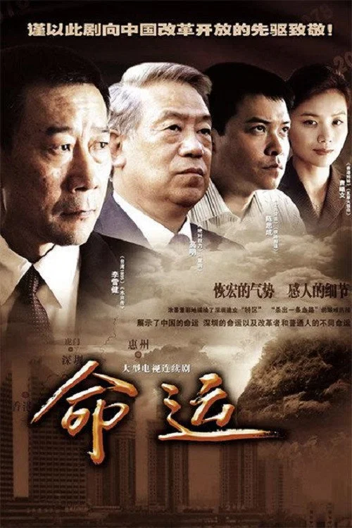命运(2010)海报