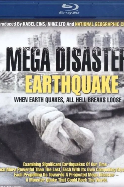 末日的地球:大地震(2010)海报