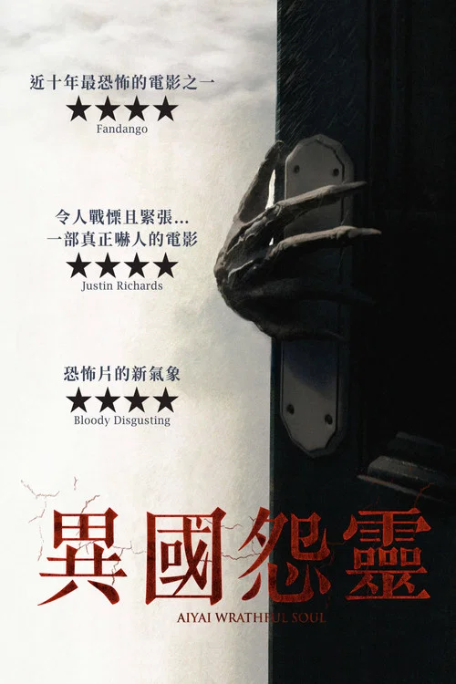 愤恨的灵魂(2020)海报