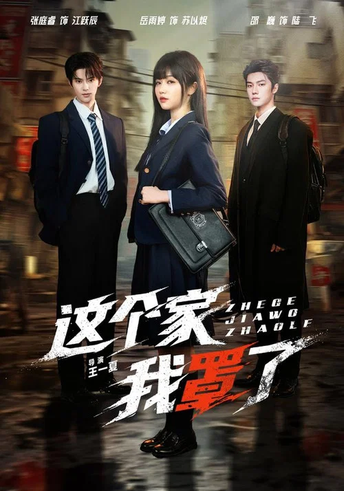 這個家我罩了(2026)海報