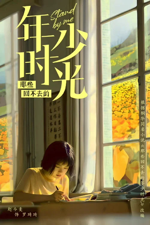 回不去的少年时光剧照3