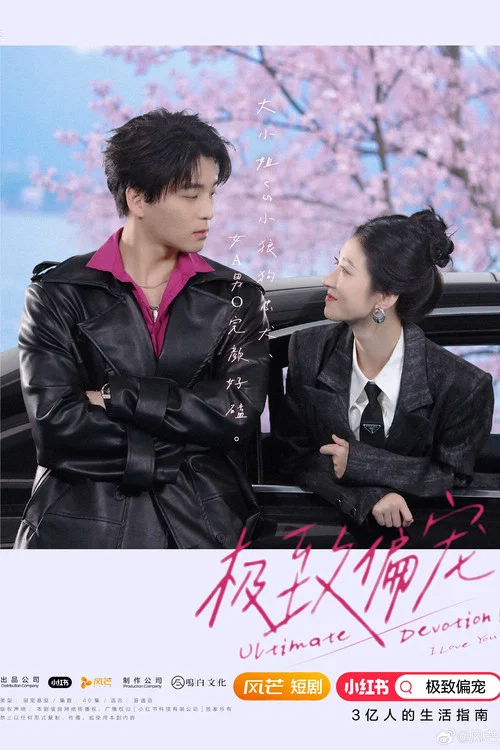 极致偏宠(2025)海报