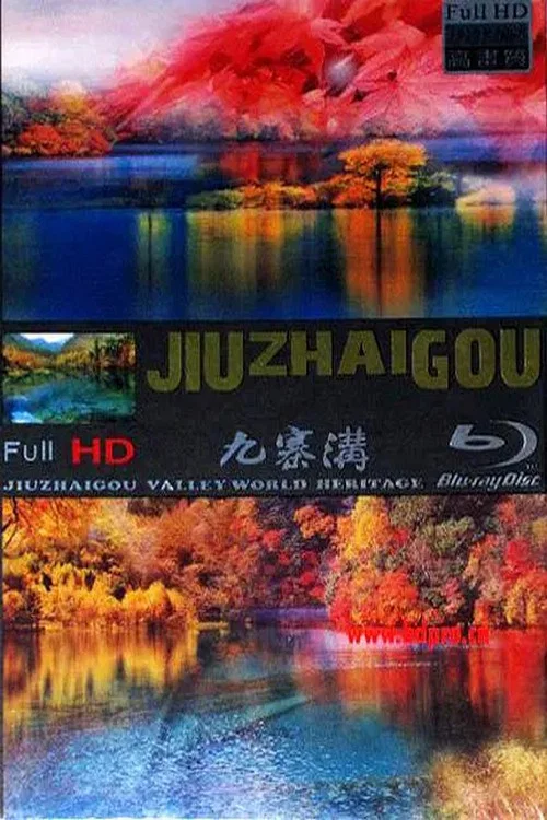 世界遗产(2009)海报