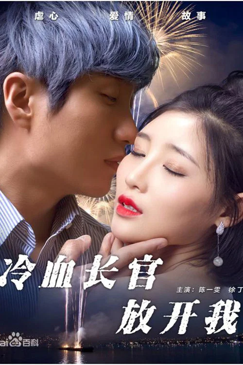 冷血長官放開我(2017)海報