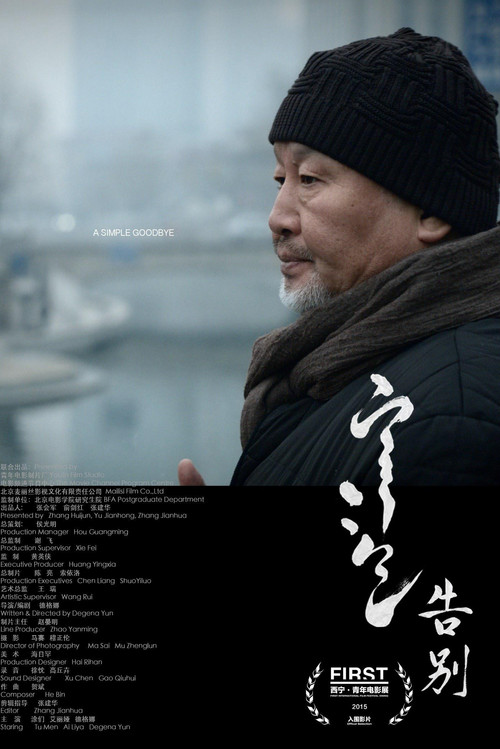 告别(2015)海报