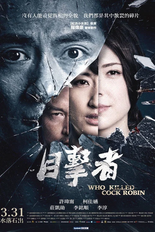 目擊者之追兇(2017)海報