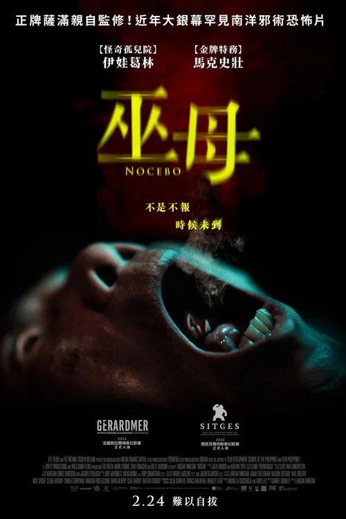 反安慰劑(2022)海報