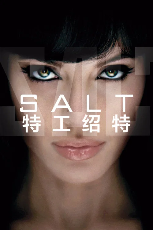 特工绍特(2010)海报