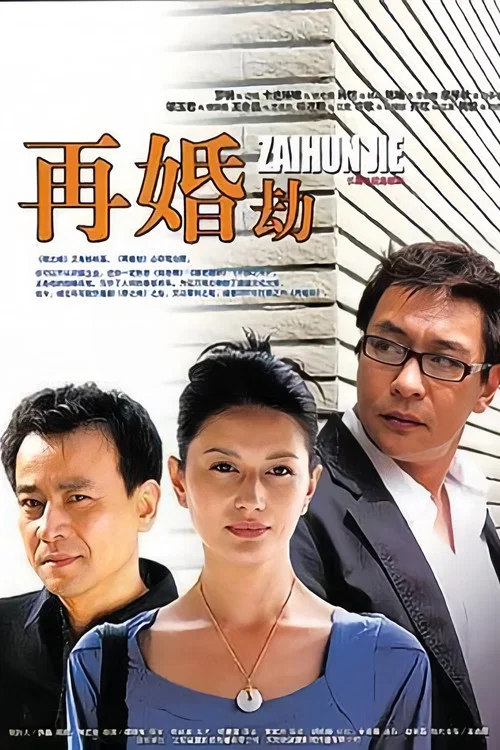 再婚劫(2007)海报