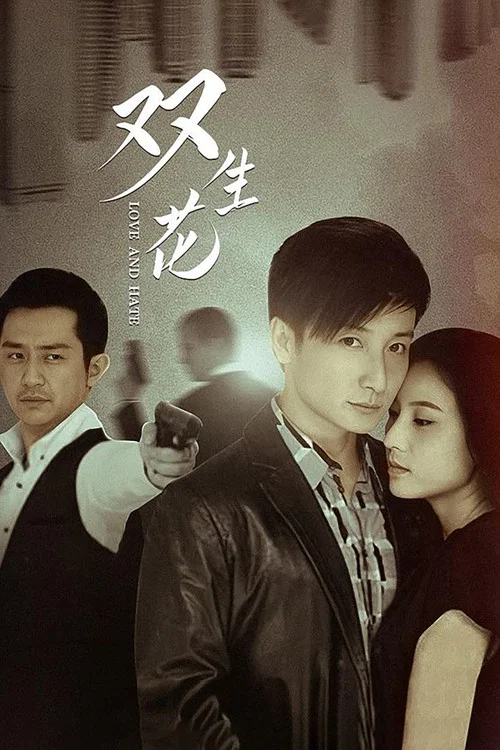 双生花(2014)海报