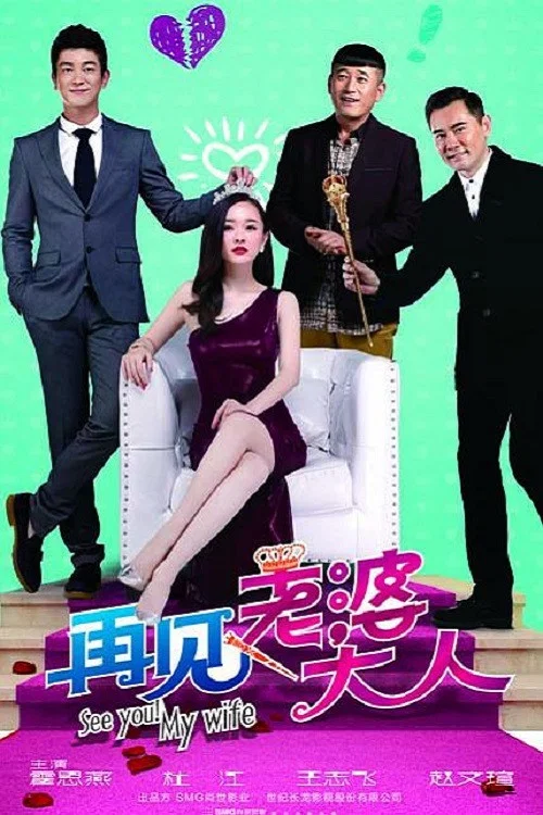 再見,老婆大人(2016)海報