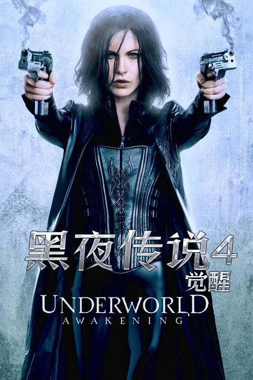 黑夜傳說4:覺醒(2012)海報