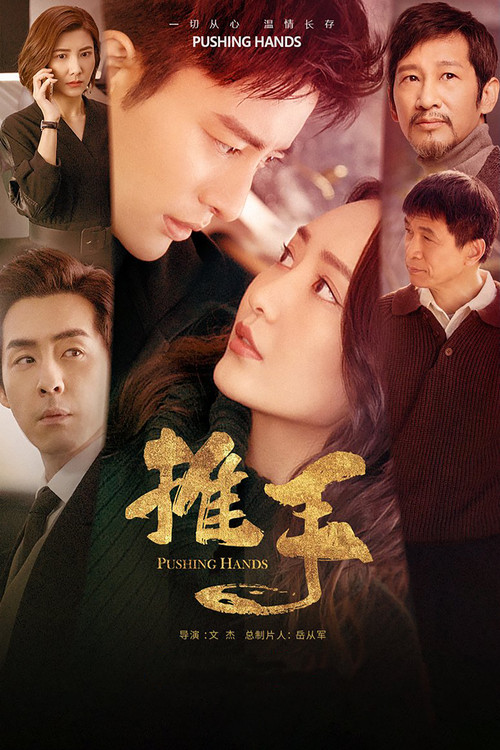 推手(2019)海報
