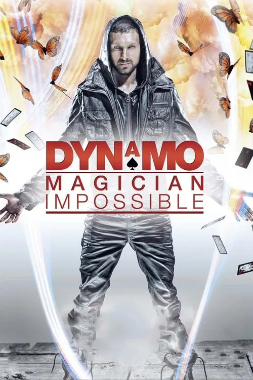 魔術(2011)海報