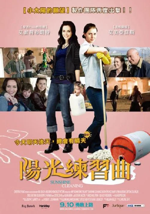 阳光清洗(2009)海报