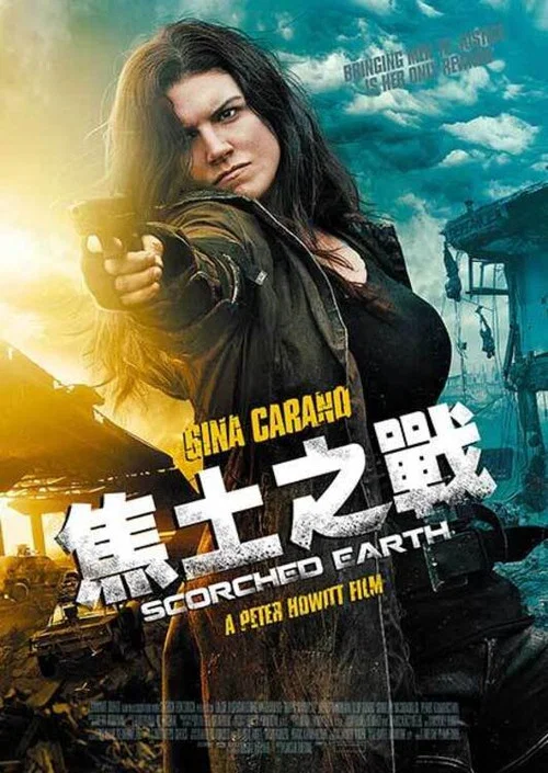 焦土作战(2018)海报