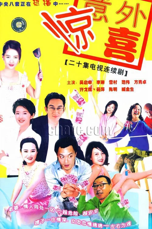 將裝修進行到底(2004)海報