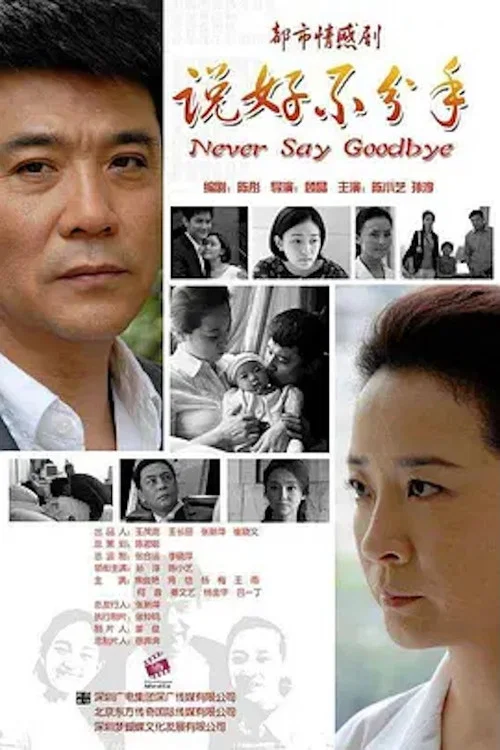 說好不分手(2011)海報